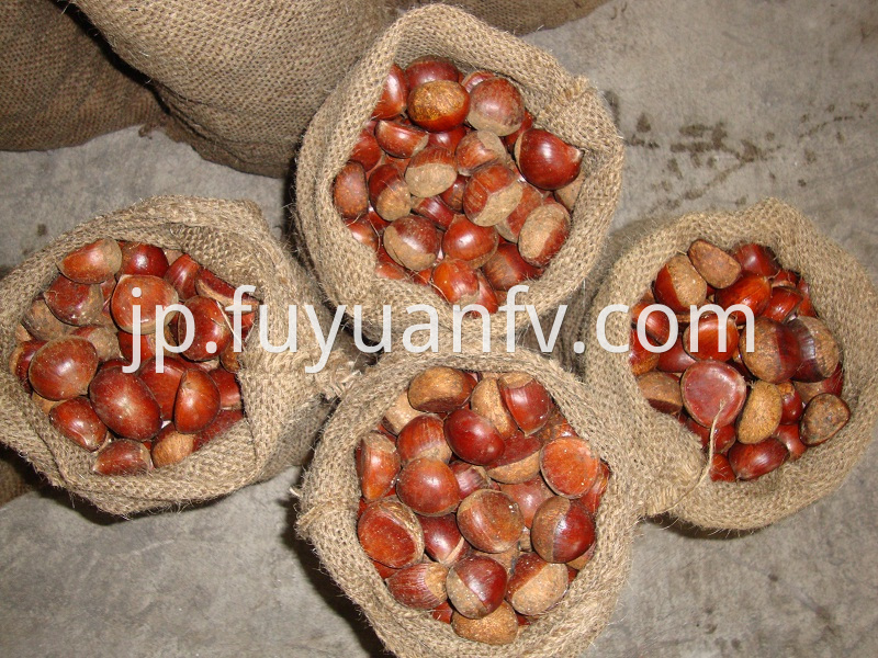 chestnut packed in jute bags